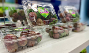  “Tinh hoa trái cây Việt” – Tôn vinh nông sản Việt, thúc đẩy tiêu thụ và xuất khẩu