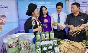 Thúc đẩy liên kết vùng trong phát triển thương mại điện tử – Nâng tầm sản phẩm vùng Trung du và miền núi phía Bắc