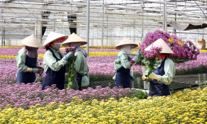 Phát triển kinh tế tư nhân tạo đòn bẩy giúp kinh tế Lâm Đồng khởi sắc