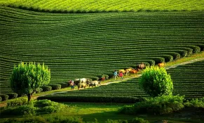 Du lịch Sơn La: Đòn bẩy đầu tư xanh, mở rộng không gian tăng trưởng vùng