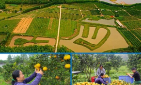 Hà Tĩnh thúc đẩy phát triển kinh tế tập thể theo hướng bền vững