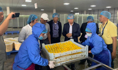 Ba Lan siết kiểm soát an toàn thực phẩm tại cửa khẩu