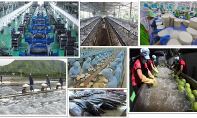 Khát vọng tự cường và chiều sâu văn hóa