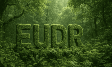 Các quy định xanh của EU năm 2026 và phép thử mới đối với doanh nghiệp xuất khẩu Việt Nam