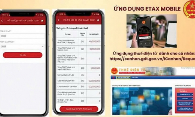 Khi thủ tục thuế được thực hiện trên môi trường số