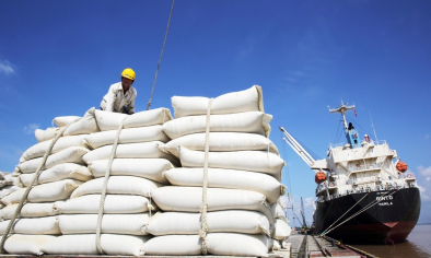 Giá gạo Nhật Bản tăng cao mở thêm dư địa cho gạo Việt