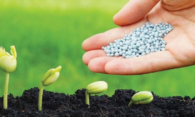 Biến động Trung Đông và bài toán ổn định thị trường phân bón