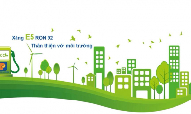 Việt Nam đa dạng hóa nguồn năng lượng trong chiến lược chuyển dịch xanh