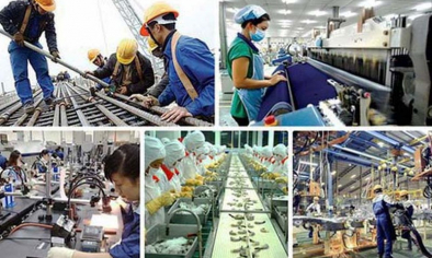 Doanh nghiệp Việt thích ứng trong môi trường kinh doanh bất định