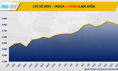 Thị trường nông sản và năng lượng rung lắc mạnh, MXV-Index lùi về 2.800 điểm