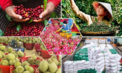 Số hóa chuỗi giá trị đưa nông sản Việt chạm mốc 100 tỷ USD