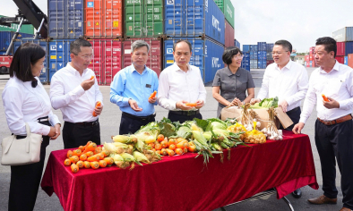 Khi doanh nghiệp logistics trở thành mắt xích giải cứu nông sản