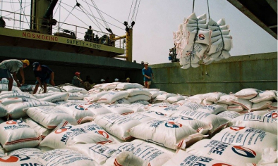 Cơ hội xuất khẩu gạo Việt Nam 2026: Tăng trưởng song hành thách thức 