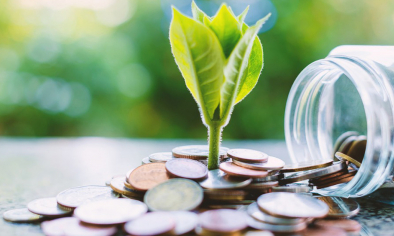 Thị trường các-bon là đòn bẩy cho chuyển đổi xanh và năng lực cạnh tranh