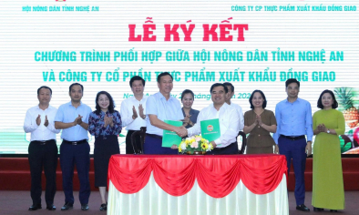 Nghệ An thúc đẩy vùng nguyên liệu tập trung, nâng sức cạnh tranh nông sản