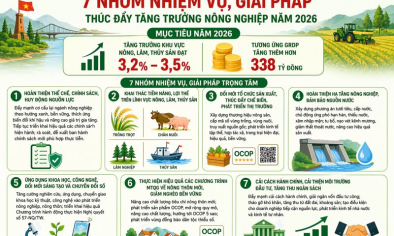 Quảng Trị triển khai 7 nhóm nhiệm vụ, giải pháp thúc đẩy tăng trưởng nông nghiệp năm 2026