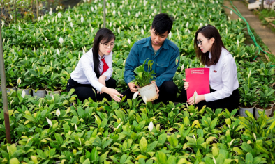 Khơi thông dòng vốn xanh cho nông nghiệp