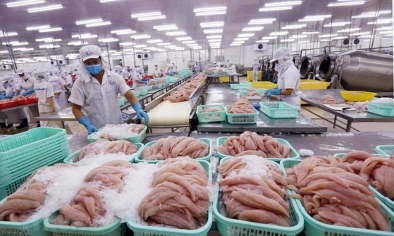 Thủy sản Việt Nam tăng tốc xuất khẩu giữa làn sóng tiêu dùng xanh toàn cầu