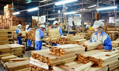 Ngành gỗ Việt Nam tăng tốc tái cấu trúc giữa làn sóng bảo hộ thương mại