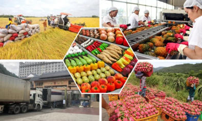 Nông lâm thủy sản giữ đà tăng trưởng giữa nhiều biến động