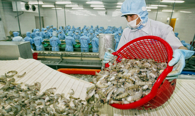 Thủy sản toàn cầu biến động mạnh, doanh nghiệp Việt tăng tốc chinh phục thị trường Úc