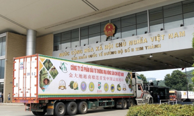 Doanh nghiệp xuất khẩu Việt Nam siết chuẩn trước yêu cầu mới từ Lệnh 280 của Trung Quốc