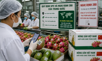 Vận hành chính thức công cụ tạm quản hàng hóa quốc tế 
