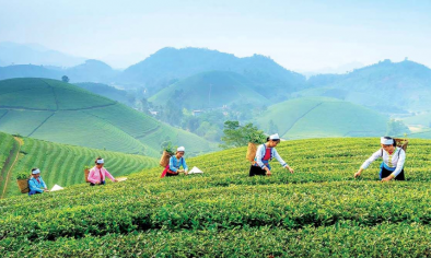 Thái Nguyên định vị “thủ phủ du lịch xanh” của vùng trung du miền núi phía Bắc