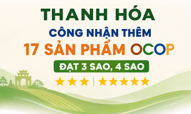 Thanh Hóa tiếp tục nâng số lượng sản phẩm OCOP đạt chuẩn