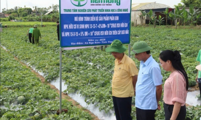 Khi khoa học công nghệ trở thành động lực của nông nghiệp xanh