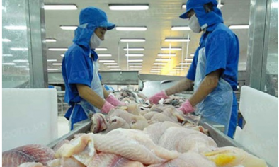 Thủy sản Việt Nam trước cơ hội mở rộng thị phần tại Hàn Quốc