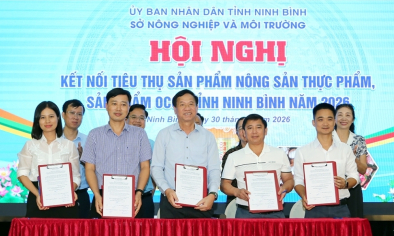 Liên kết thị trường, nâng tầm giá trị nông sản Ninh Bình