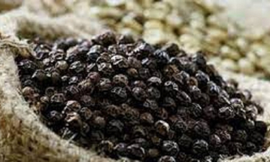 Xuất khẩu hạt tiêu tăng tốc, Việt Nam mở rộng lợi thế tại thị trường Hoa Kỳ