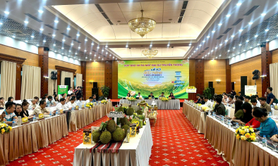 Đắk Lắk công bố Lễ hội Sầu riêng năm 2026: “Sầu riêng Đắk Lắk - Kết nối vươn xa”