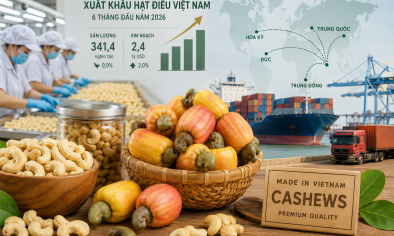 Ngành điều giữ đà tăng giá trị xuất khẩu, mở rộng dư địa từ chế biến sâu