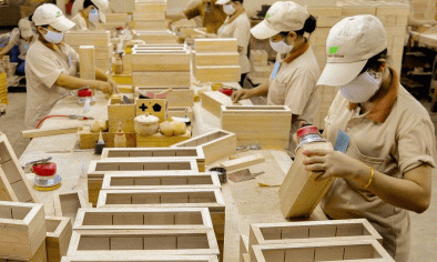 Nâng tầm gỗ Việt từ bài toán nguyên liệu chế biến sâu