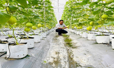 Nghệ An nâng giá trị nông sản bằng công nghệ