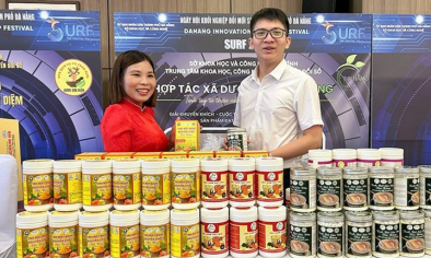 Hà Tĩnh thúc đẩy công nghiệp nông thôn theo hướng xanh, số