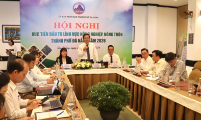 Đà Nẵng mở gần 150 cơ hội đầu tư vào chuỗi giá trị nông nghiệp