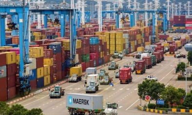 Cảnh báo lừa đảo khi giao dịch xuất nhập khẩu với đối tác tại UAE