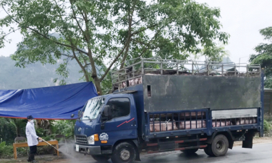 Ngăn chặn, xử lý nghiêm việc buôn bán, vận chuyển trái phép lợn qua biên giới vào Việt Nam
