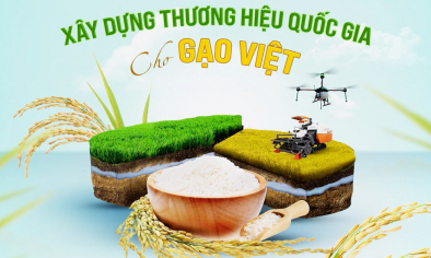 Xây dựng thương hiệu quốc gia cho gạo Việt