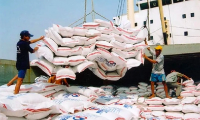 Nguồn cung dồi dào, dự báo giá gạo năm 2026 chiều hướng áp lực giảm