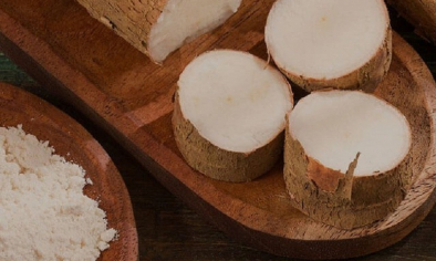 Xuất khẩu sắn Việt Nam gia tăng lợi thế cạnh tranh