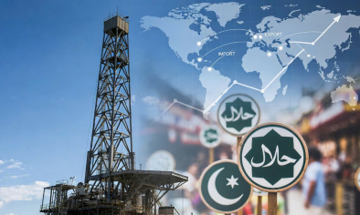 Việt Nam trước ngưỡng cửa LNG giá thấp và thị trường Halal bùng nổ