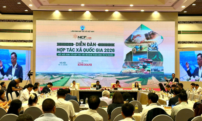 Diễn đàn Hợp tác xã Quốc gia 2026: Đẩy mạnh kết nối giữa kinh tế hợp tác và hệ sinh thái tư nhân