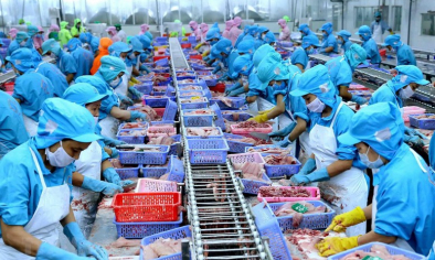 Thủy sản Việt Nam trước cơ hội lớn từ thị trường Ấn Độ