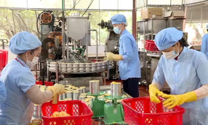 Doanh nghiệp tạo lực đẩy cho nông nghiệp Ninh Bình bứt phá