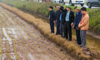 Ninh Bình tăng tốc sản xuất vụ Xuân 2026: Tạo khí thế sôi nổi trên đồng ruộng