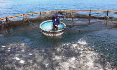 Khánh Hòa đặt trọng tâm đầu tư vào nông nghiệp công nghệ cao và hạ tầng môi trường